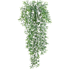 Wilde Aspergevaren