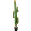 Mexicaanse Cactus