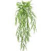 Aspergevaren