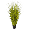 Miscanthusgras