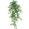 Vaderplant