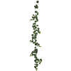 Klimop