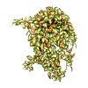 Wasplant