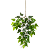 Berk
