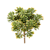 Zilverblad