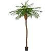 Phoenixpalm