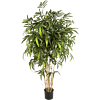 Nieuwe Natuurlijke Bamboe
