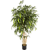 Nieuwe Natuurlijke Bamboe