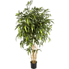 Nieuwe Natuurlijke Bamboe