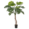 Split Philo Root Tree