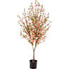 Cherry Blossom
