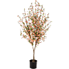Cherry Blossom