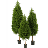 Cipres
