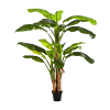 Bananenplant