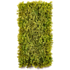 Moss