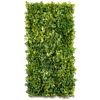 Moss