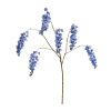 Blauwe Regen