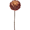 Dahlia