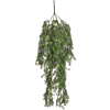 Aspergevaren