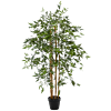 Bamboe