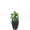 kantoorplant in plantenbak antraciet