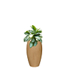 kantoorplant in plantenbak bruin beige 