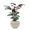 beplanting voor kantoor met pot