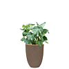 Monstera in capi pot taupe