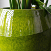 Eddy groen grote keramiek pot ts collection
