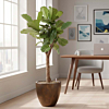 Lyrata plant in pot op kantoor