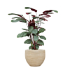 plant met pot