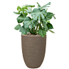 Monstera in capi pot taupe