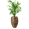 palm in capi rib pot goud