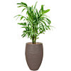 palm in capi rib pot taupe