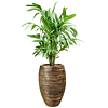palm in capi rib pot goud