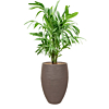 palm in capi rib pot taupe
