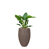 philodendron in capi rib pot taupe