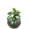 luxe pot met kantoorbeplanting