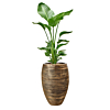 Strelitzia in capi grote capi pot goud 