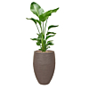 Strelitzia in capi grote capi pot taupe 
