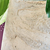 textuur pot
