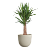 yucca beige plastic pot