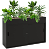zwarte kast met planten