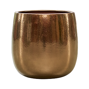 Balloon goud