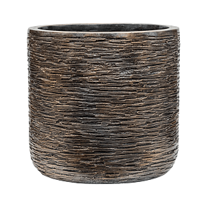 Baq Luxe Lite Universe Wrinkle