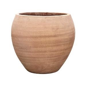 Terra Moderna