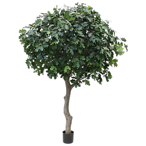 Kunst Eikenboom Giant deluxe