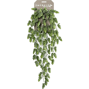 Hopplant