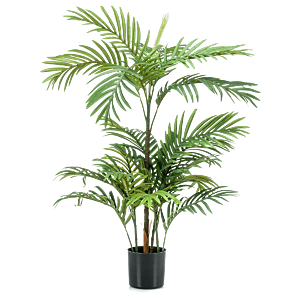 Dadelpalm