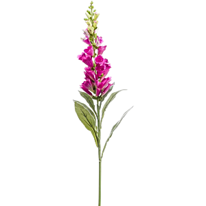 Vingerhoedskruid